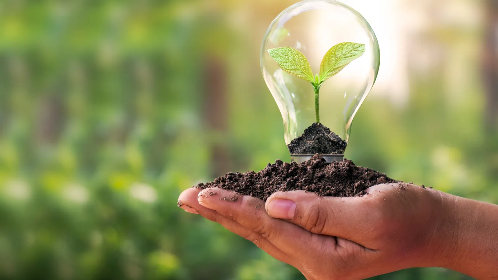 Vista de un proyecto industrial en evaluación ambiental con planos técnicos
